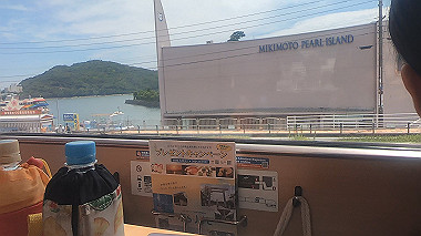 gx011945.mp4_snapshot_00.19_thumb.jpg