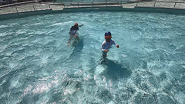 gx012003.mp4_snapshot_00.02_thumb.jpg