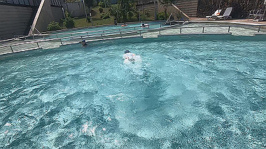 gx012003.mp4_snapshot_00.14_thumb.jpg