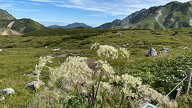 2024-08-23_08-39-24_954_thumb.jpg