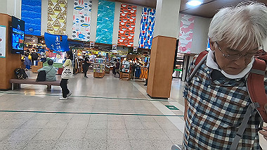 gx012053.mp4_snapshot_01.04_thumb.jpg