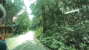 gx012064.mp4_snapshot_00.11_thumb.jpg