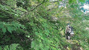 gx012112.mp4_snapshot_00.02_thumb.jpg