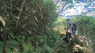 gx012112.mp4_snapshot_01.15_thumb.jpg