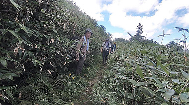 gx012113.mp4_snapshot_00.00_thumb.jpg