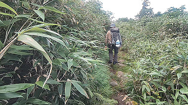 gx012113.mp4_snapshot_00.43_thumb.jpg