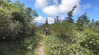 gx012114.mp4_snapshot_00.01_thumb.jpg
