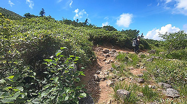 gx012114.mp4_snapshot_00.54_thumb.jpg