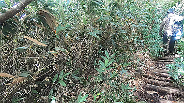 gx012116.mp4_snapshot_00.38_thumb.jpg