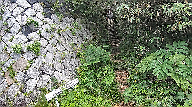 gx012116.mp4_snapshot_02.07_thumb.jpg