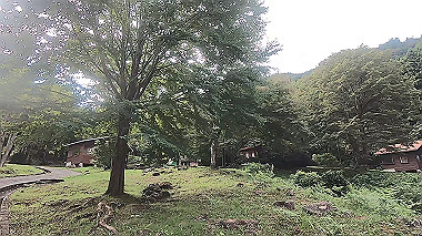 gx012130.mp4_snapshot_00.32_thumb.jpg