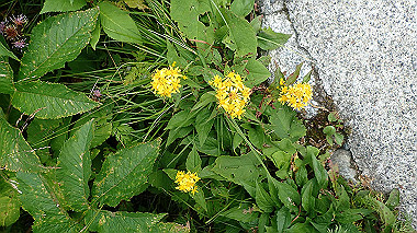 p8220474_thumb.jpg