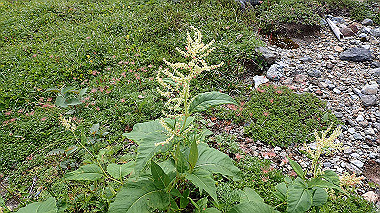 p8220476_thumb.jpg