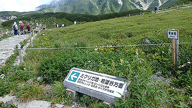 p8220480_thumb.jpg