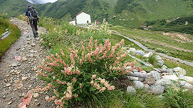 p8220522_thumb.jpg