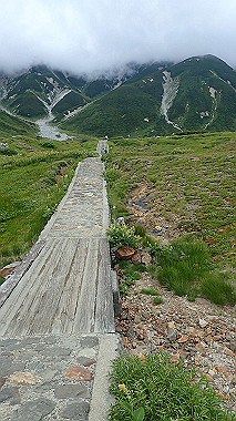 p8220537_thumb.jpg