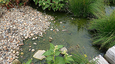 p8220538_thumb.jpg