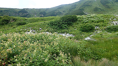 p8220539_thumb.jpg
