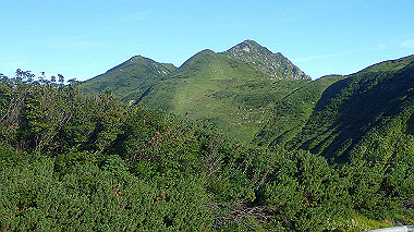 p8230554_thumb.jpg