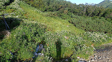 p8230560_thumb.jpg