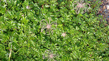 p8230567_thumb.jpg