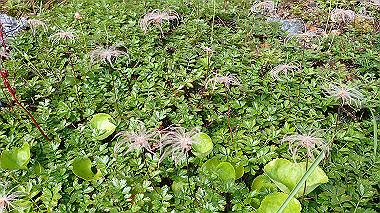 p8230568_thumb.jpg