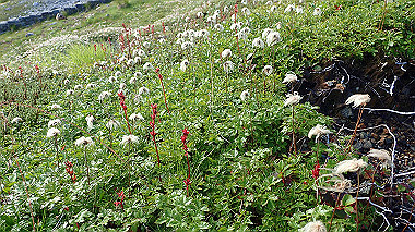 p8230570_thumb.jpg