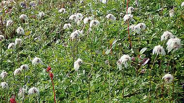 p8230571_thumb.jpg