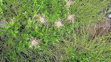p8230579_thumb.jpg