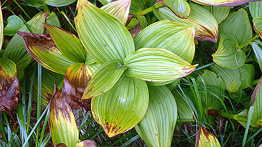 p8230584_thumb.jpg