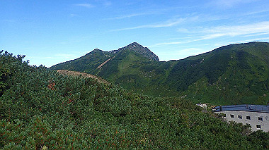 p8230586_thumb.jpg