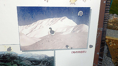 p8230591_thumb.jpg