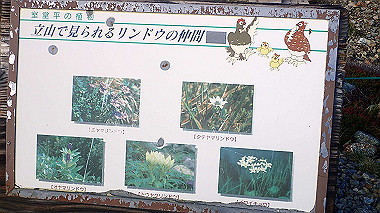 p8230608_thumb.jpg
