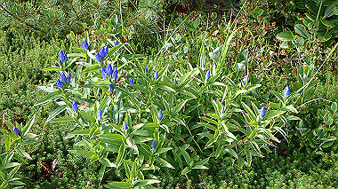 p8230621_thumb.jpg