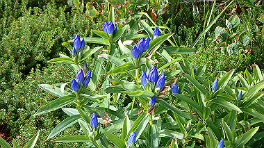 p8230622_thumb.jpg