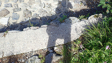 p8230657_thumb.jpg