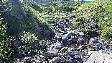p8230660_thumb.jpg