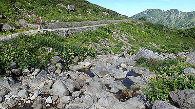 p8230661_thumb.jpg
