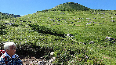 p8230665_thumb.jpg