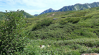 p8230669_thumb.jpg