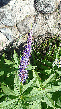p8230673_thumb.jpg