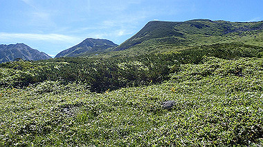 p8230674_thumb.jpg