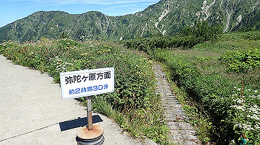 p8230695_thumb.jpg
