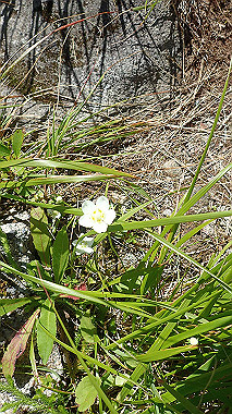 p8230704_thumb.jpg