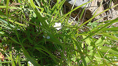 p8230705_thumb.jpg