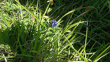 p8230707_thumb.jpg