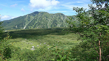 p8230719_thumb.jpg