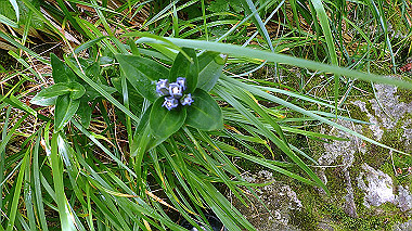 p8230721_thumb.jpg