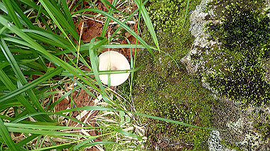 p8230722_thumb.jpg