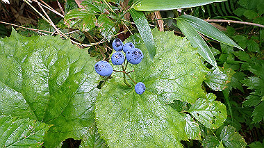 p8230723_thumb.jpg